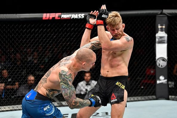 Alexander Gustafsson Hinting