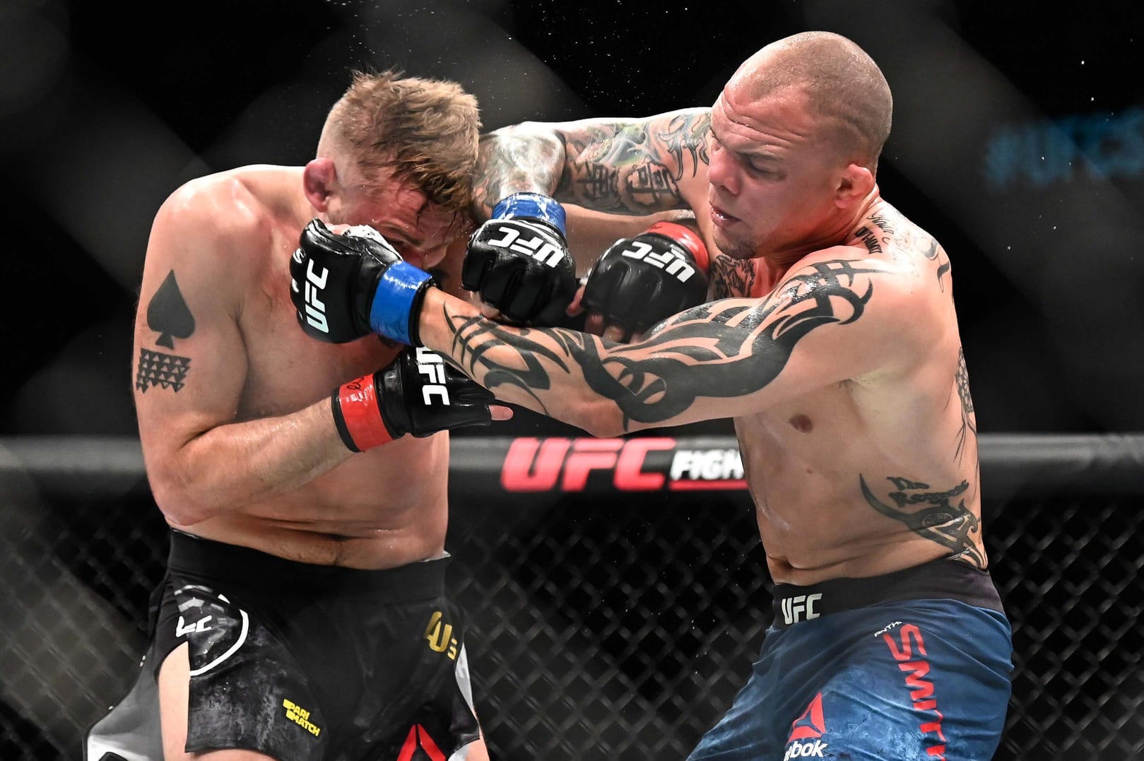 Anthony Smith and Alexander Gustafsson