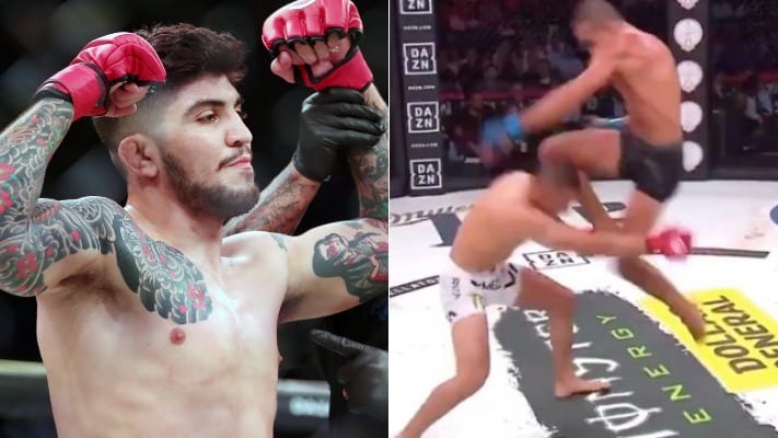 Dillon Danis Offers Aaron Pico Sincere Advice Following Knockout Loss