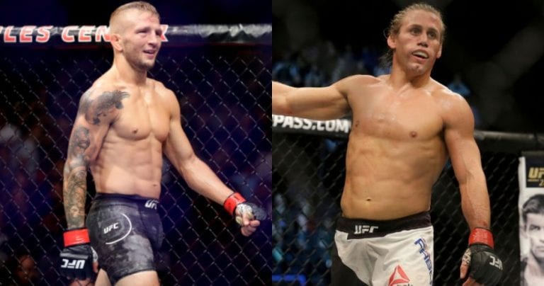 TJ Dillashaw and Urijah Faber