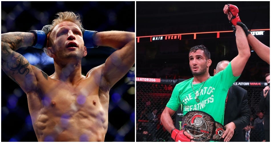 Dillashaw Mousasi