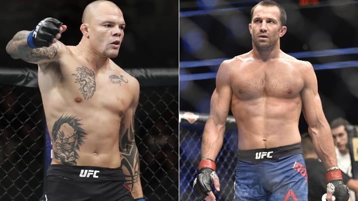 Anthony Smith Believes Luke Rockhold Deserved KO Loss 1 Smith Luke Rockhold unimpressed