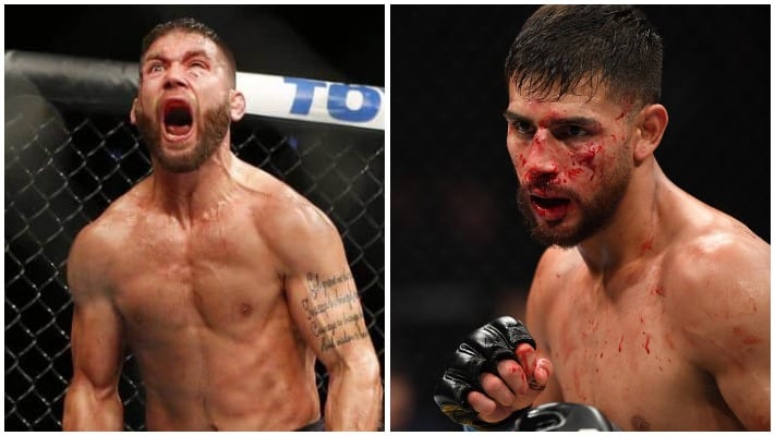 Jeremy Stephens Ready To Embarrass Yair Rodriguez At UFC Mexico City 1 Yair Rodriguez Stephens
