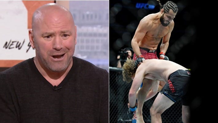 Dana White reacts to