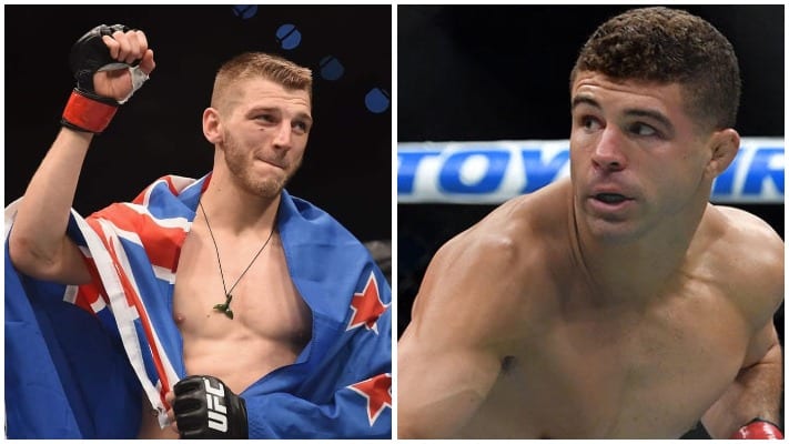 Dan Hooker Wants Al Iaquinta At UFC 243, Iaquinta Responds