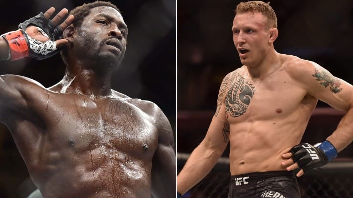 Jack Hermansson Meets Jared Cannonier In UFC Copenhagen Headliner