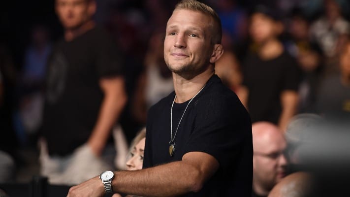 TJ Dillashaw Claims Bantamweight Needs Him, Wants Title Shot Upon Return