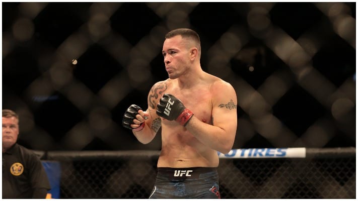 Colby Covington Teases ATT Brawl After Jorge Masvidal Fallout