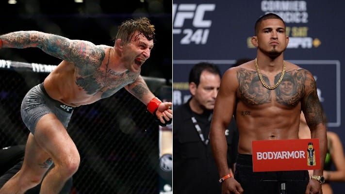 Gregor Gillespie Calls Out Anthony Pettis For UFC 244