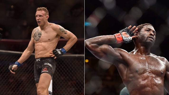 Jack Hermansson, Jared Cannonier