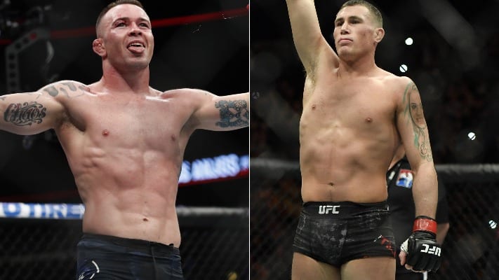 Darren Till Goes After 'Snitch' Colby Covington's Sister Online 1 Darren Till