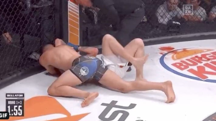Bellator 225 Highlights: Nick Newell Gets Quick Submission In Bellator Debut 1 Nick Newell