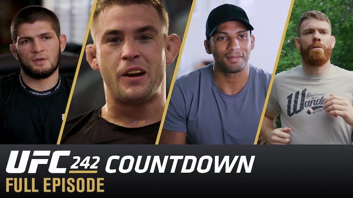 UFC 242 Countdown