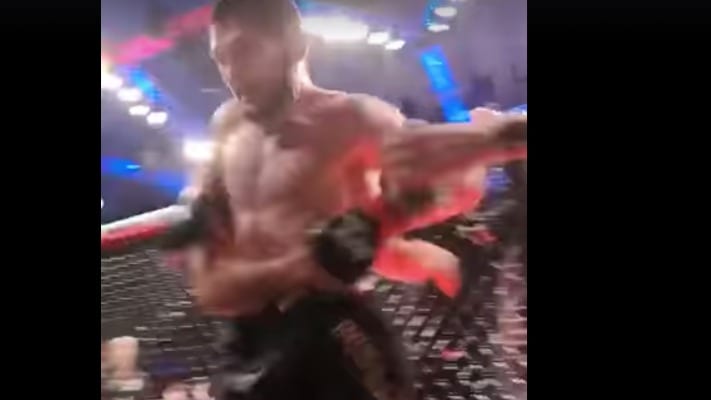 Khabib Nurmagomedov Jumps Cage After UFC 242 Victory (Video)