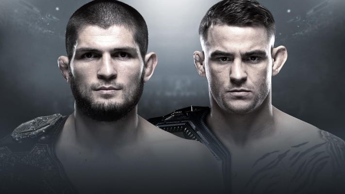 UFC 242 Staff Predictions