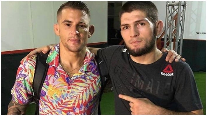 Poirier Nurmagomedov