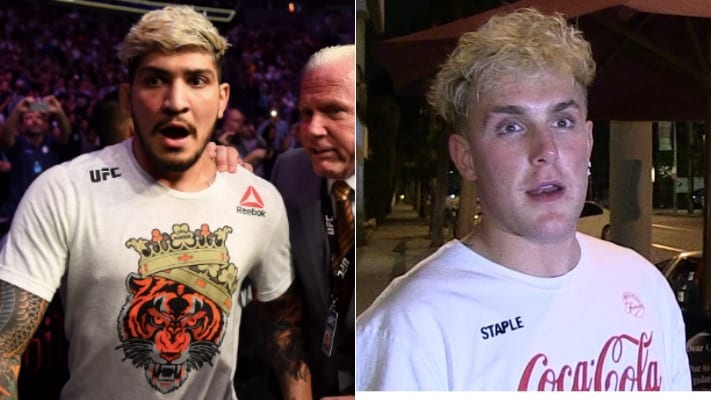 Dillon Danis & Jake Paul Get Personal In Recent Back-And-Forth