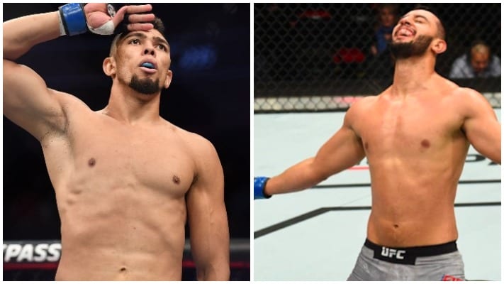 Johnny Walker Calls Out Dominick Reyes Following UFC Boston Win