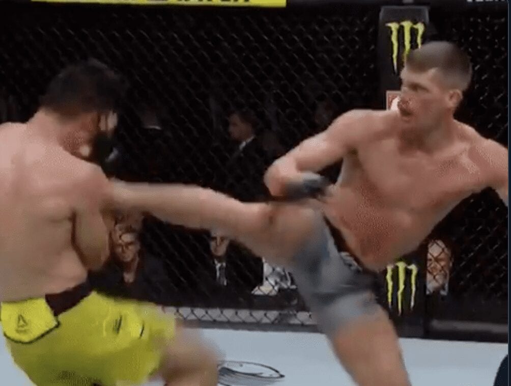 Stephen Thompson Puts On Technical Masterclass Against Vicente Luque - UFC 244 Highlights 1 Thompson Luque