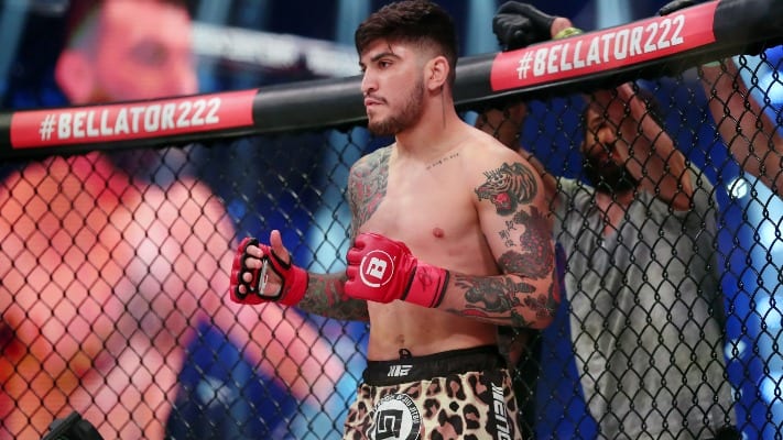 Dillon Danis Set To Return At Bellator 238 1 Dillon Danis