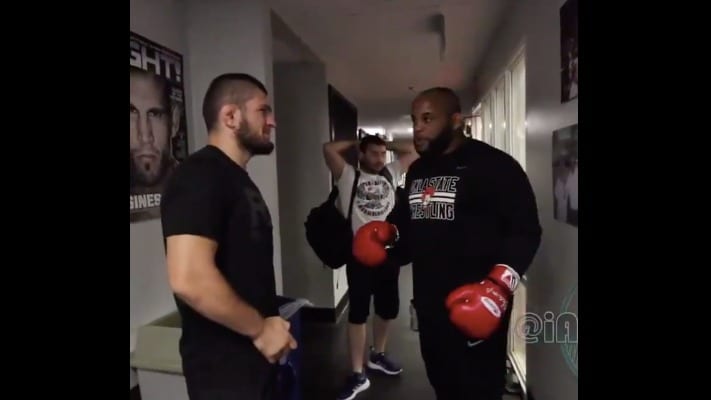 Daniel Cormier Thought Khabib Nurmagomedov Would Be Away For A While