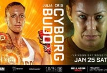 Bellator 238 Results