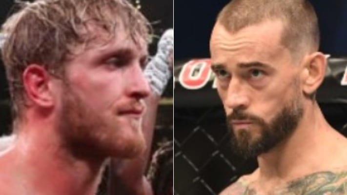 CM Punk Not Interested In Logan Paul MMA Fight