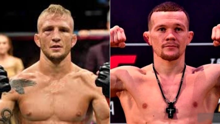 Yan Dillashaw