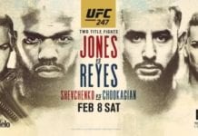 UFC 247 results