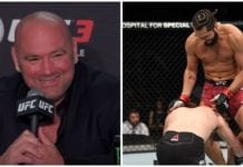 Dana White