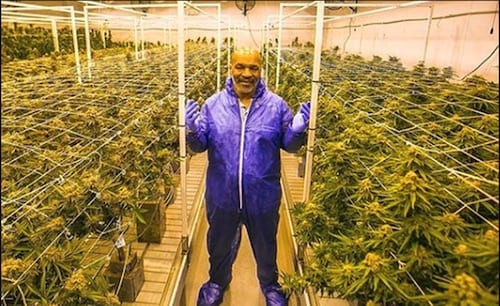 Mike Tyson Reveals that He Smokes Cannabis Worth $40K Every Month