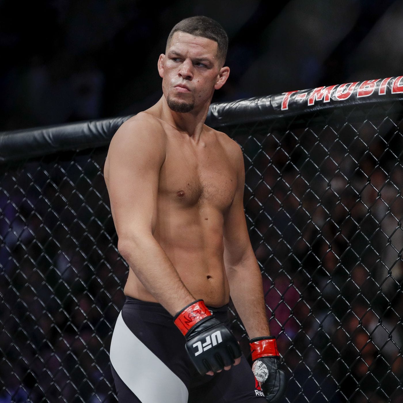 Nate Diaz