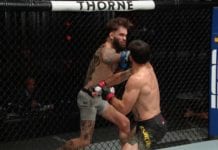 Garbrandt