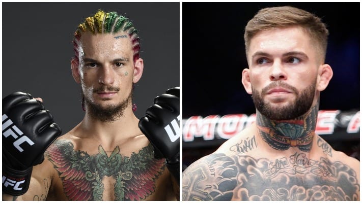 Cody Garbrandt, Sean O’Malley Go At It On Social Media