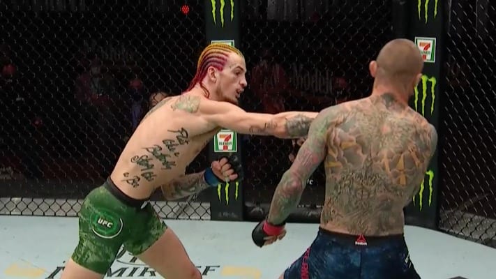 Sean O’Malley Demolishes Eddie Wineland – UFC 250 Highlights