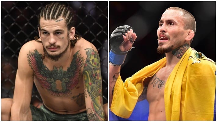 Marlon Vera violently knocks out Dominick Cruz  DAZN News India