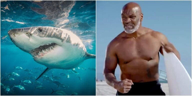 Mike Tyson Will Fight Great White Shark For ‘Shark Week’