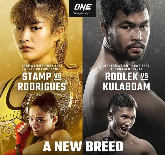 ONE: A New Breed: Allycia Hellen Rodrigues Defeats Stamp Fairtex (Highlights) 1 ONE A New Breed