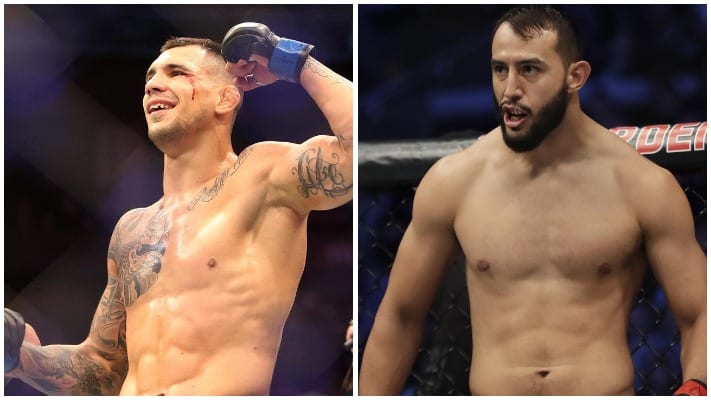 Aleksandar Rakic Thinks Dominick Reyes Is The Toughest Fight At 205lbs