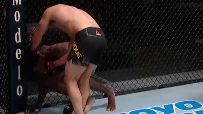 Vicente Luque Outclasses Randy Brown – UFC Vegas 5 Highlights