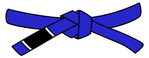 jiu jitsu blue belt