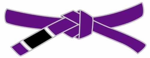 jiu jitsu purple belt