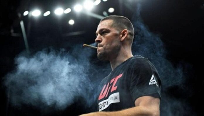 nate diaz cbd