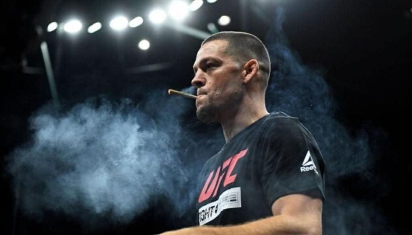 nate diaz cbd