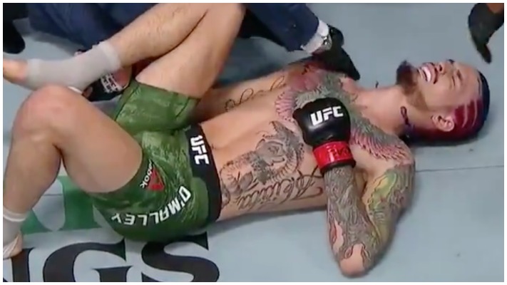 VIDEO | Sean O’Malley Gets Tapped At Jiu-Jitsu Tournament. 1 Sean O'Malley