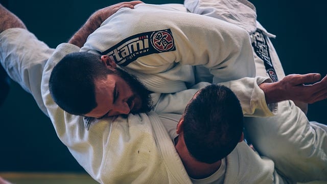 best bjj schools