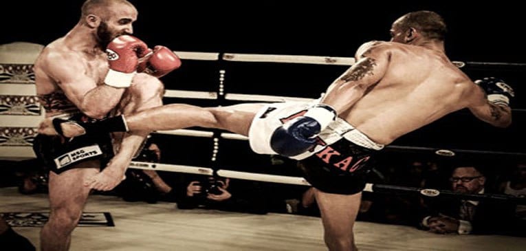 muay thai defence