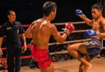 muay thai low kick