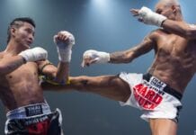 muay thai styles