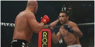 Fabricio Werdum